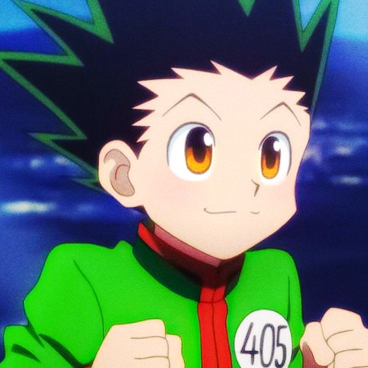 Gon HxH